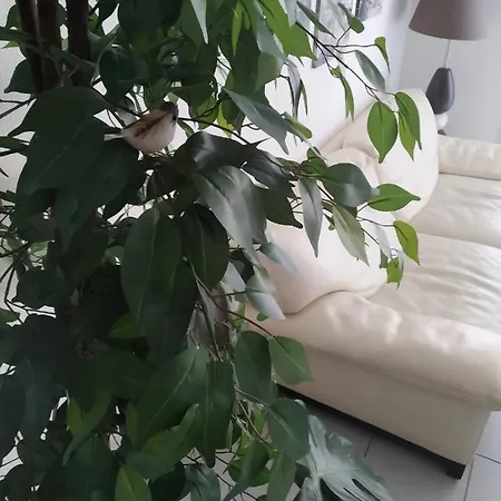 A Poitiers, 2 chambres, très bel appartement de 65 m2 Extérieur photo